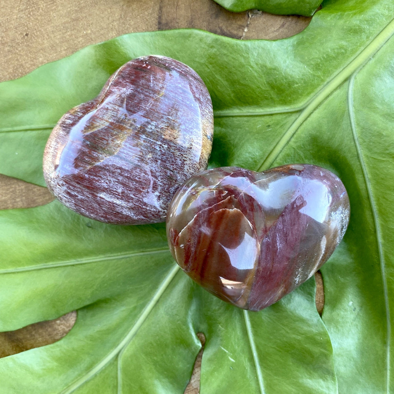 Petrified Wood Heart