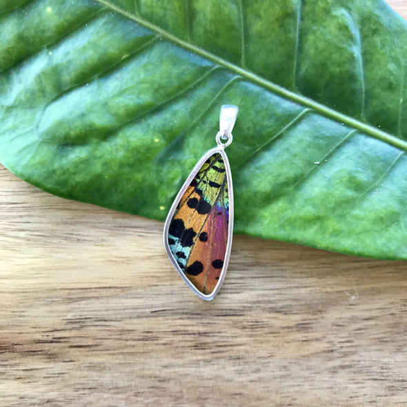 Butterfly Wing Slim Pendant in Sunset