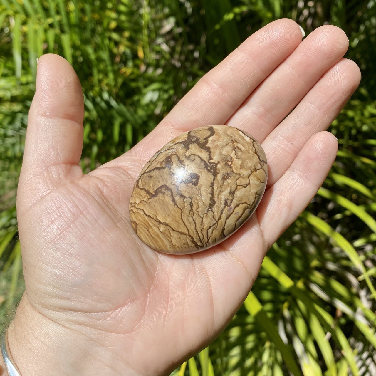 Picture Jasper Palm Stone