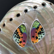 Hand crafted Butterfly Wing Earrings in colorful design