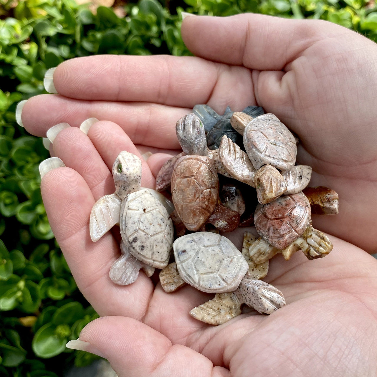 Soapstone Hand Carved Turtles