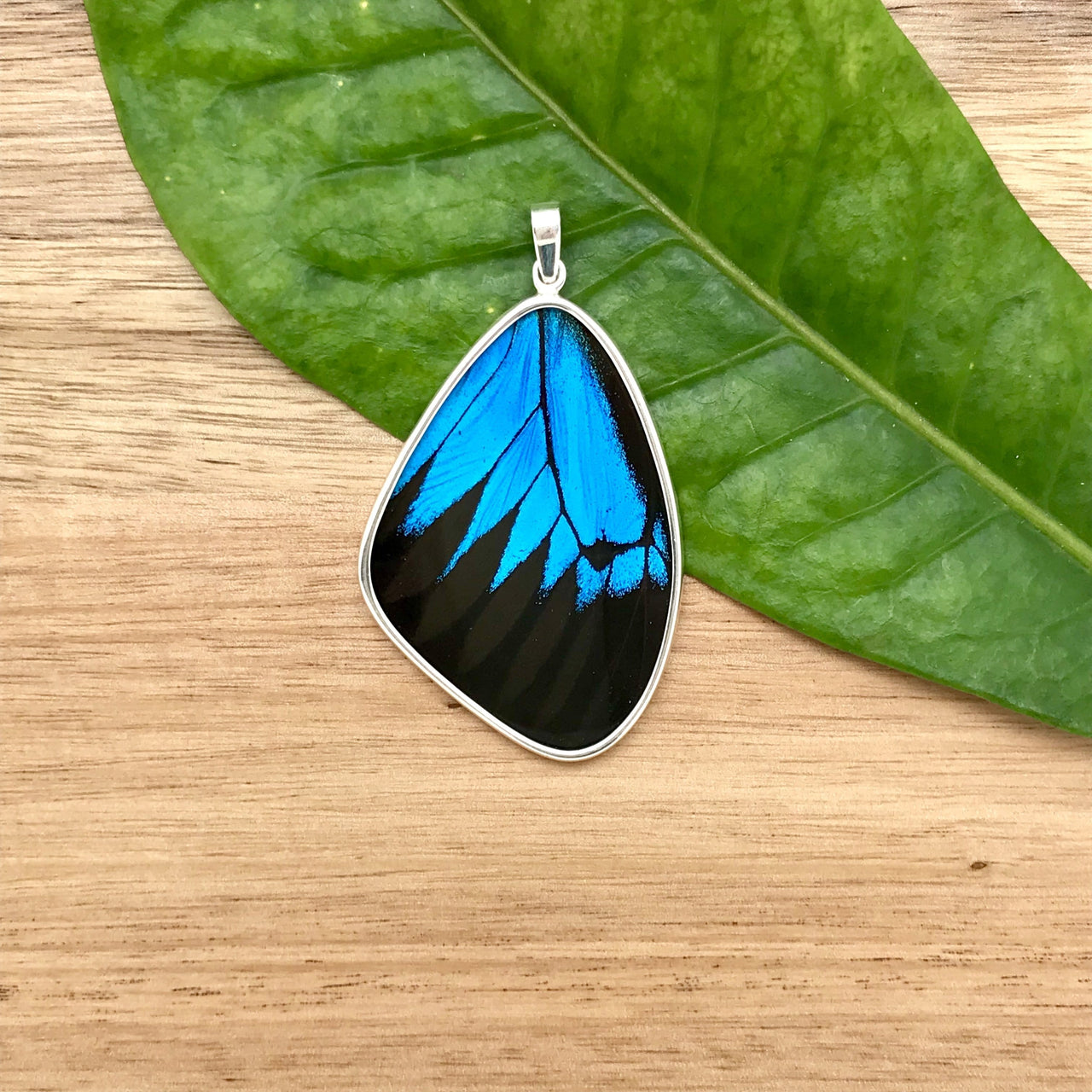 butterfly, butterfly jewelry, butterfly wings, sterling silver, pendant