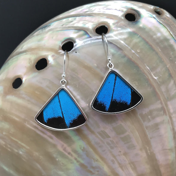Butterfly Wing Fan Style Earrings in Blue and Black