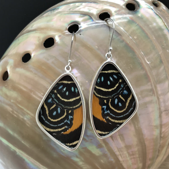 butterfly, butterfly jewelry, butterfly wings, sterling silver, earrings