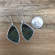 Sage Large Butterfly Wing Earrings next to quarter for size