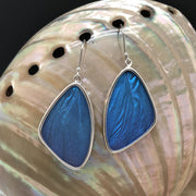 Large Butterfly Wing Earrings in solid blue