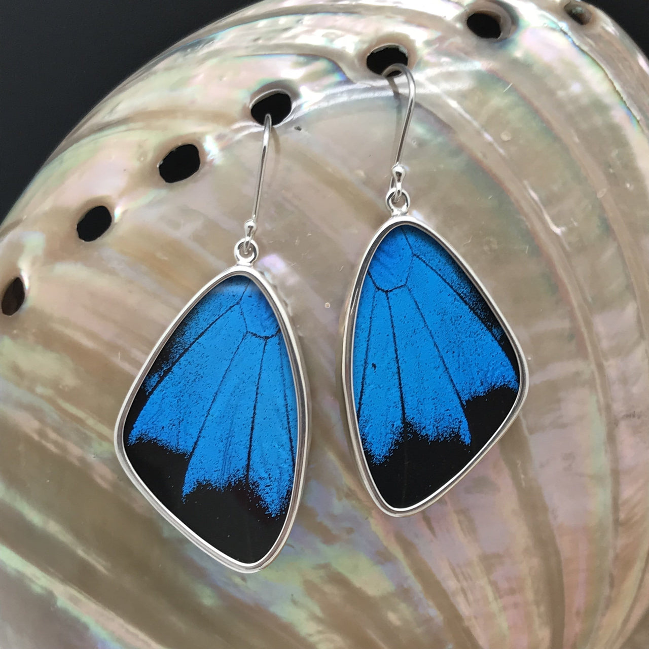 Large Butterfly Wing Earrings in soft black and blue