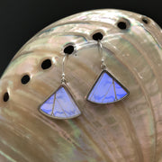 Butterfly Wing Fan Style Earrings in Pearl