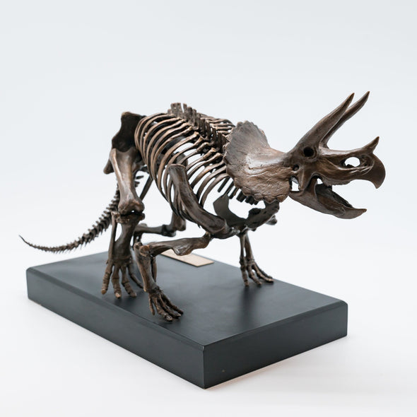 Bronze Triceratops Sculpture - NMTRI