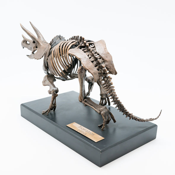 Bronze Triceratops Sculpture - NMTRI