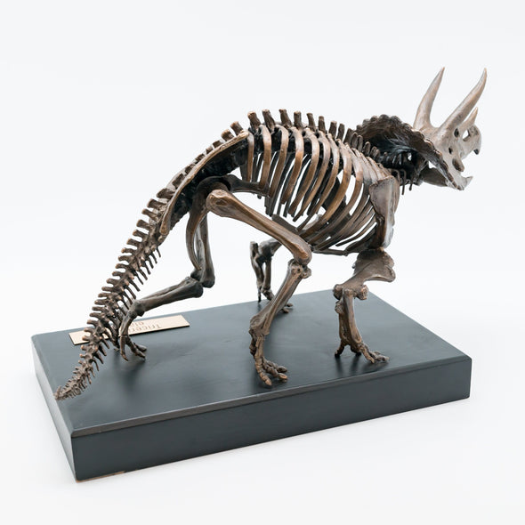 Bronze Triceratops Sculpture - NMTRI