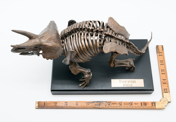 20th Century Bronze Figure of a Triceratops For Sale at 20th Century Bronze Figure of a Triceratops For Sale at