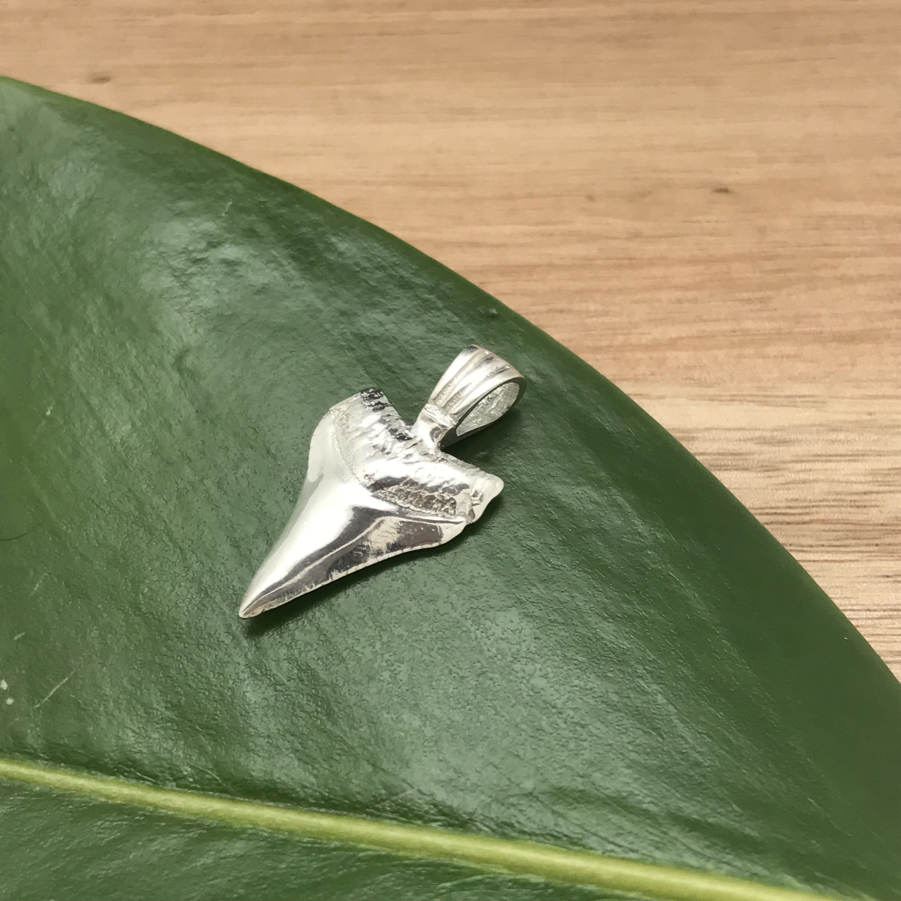Sterling silver shark tooth pendant deals