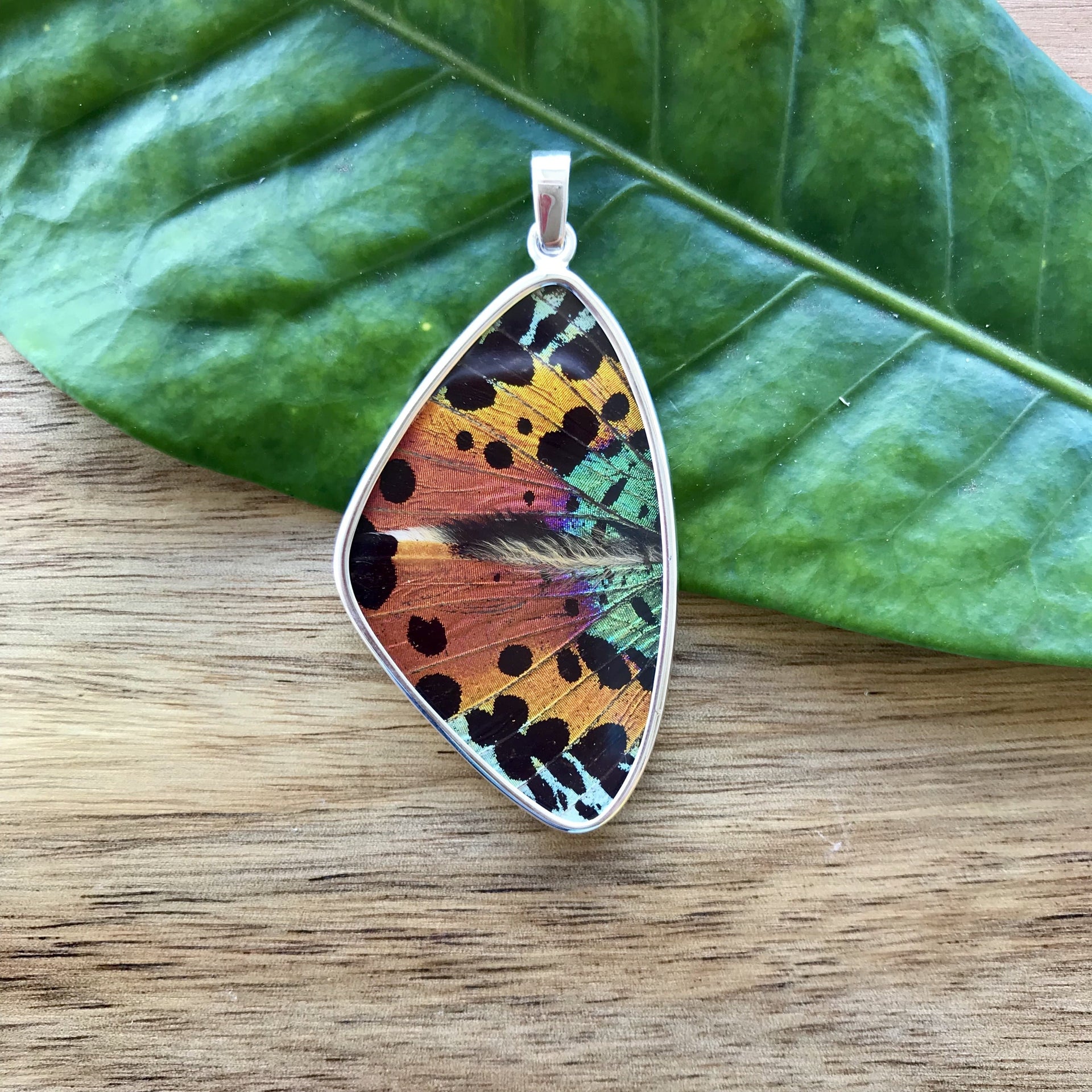 butterfly, butterfly jewelry, butterfly wings, sterling silver, pendant