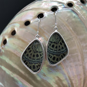 butterfly, butterfly jewelry, butterfly wings, sterling silver, earrings