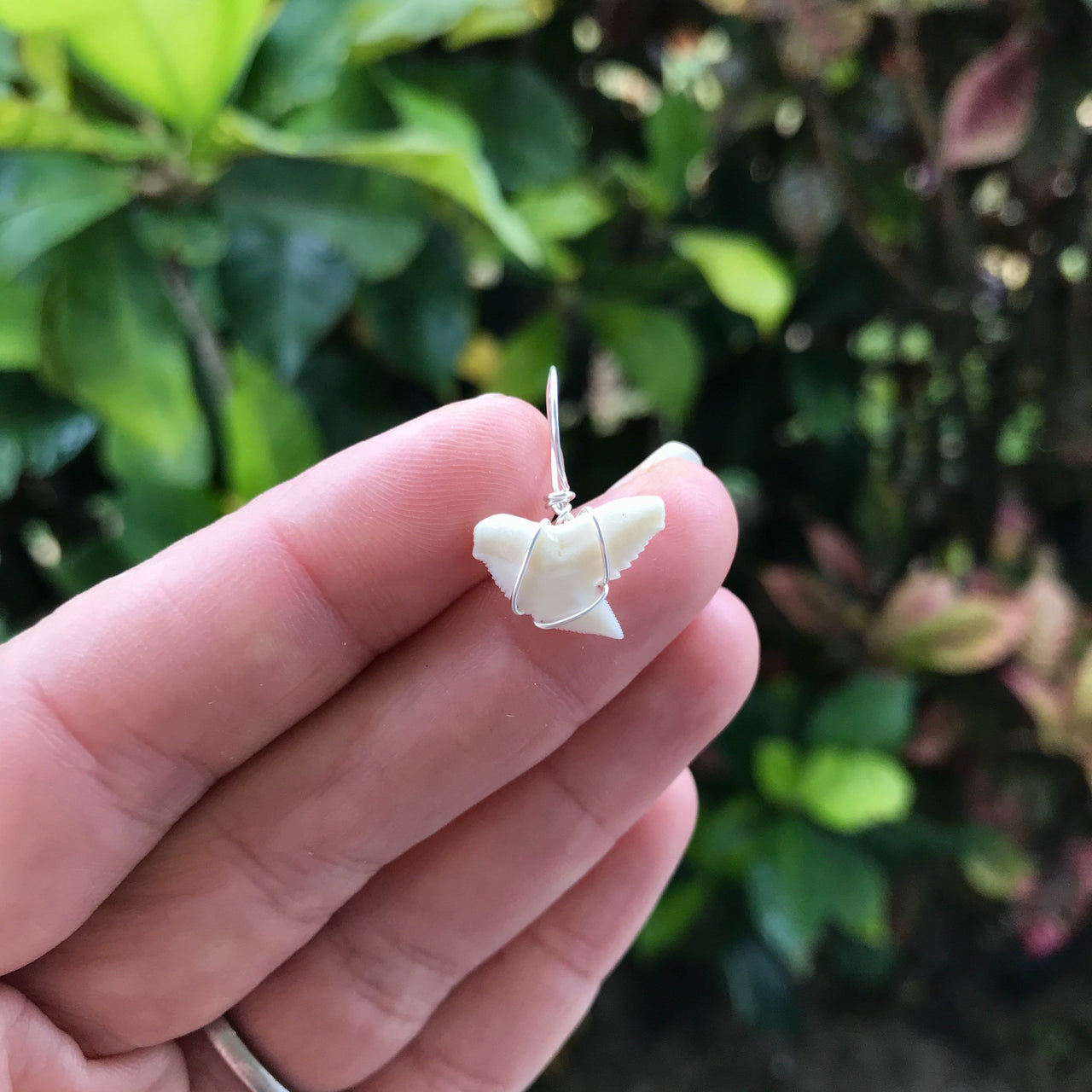 Tiny Tiger Shark Tooth Pendant