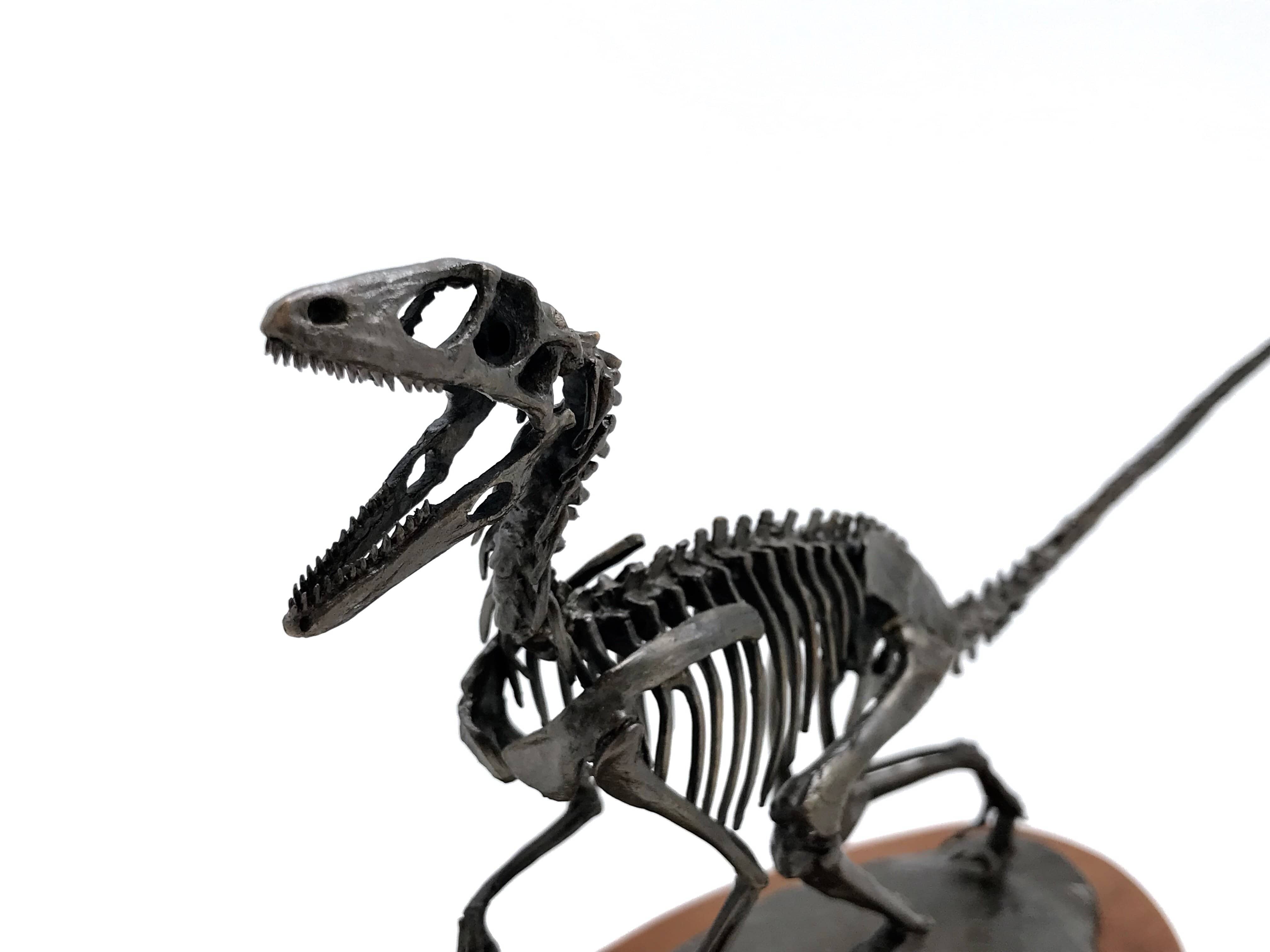 Bronze Deinonychus Sculpture - NMDEI