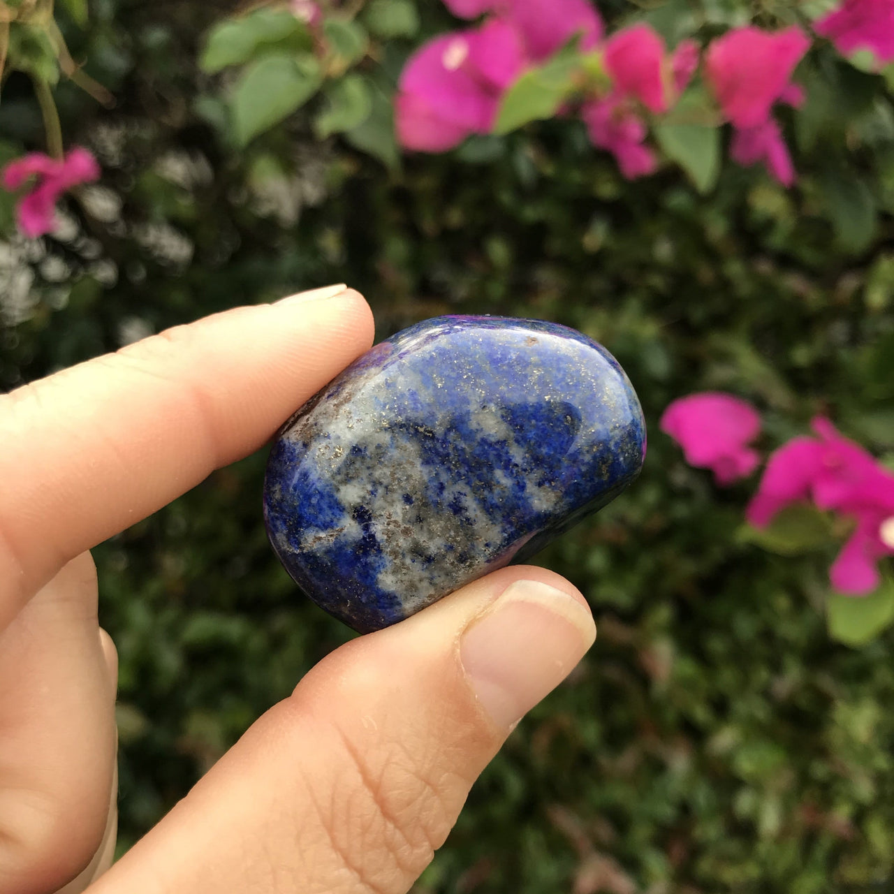 Large lapis lazuli polished gemstone pebble