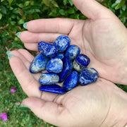 Lapis Lazuli pebbles for clarity and happiness