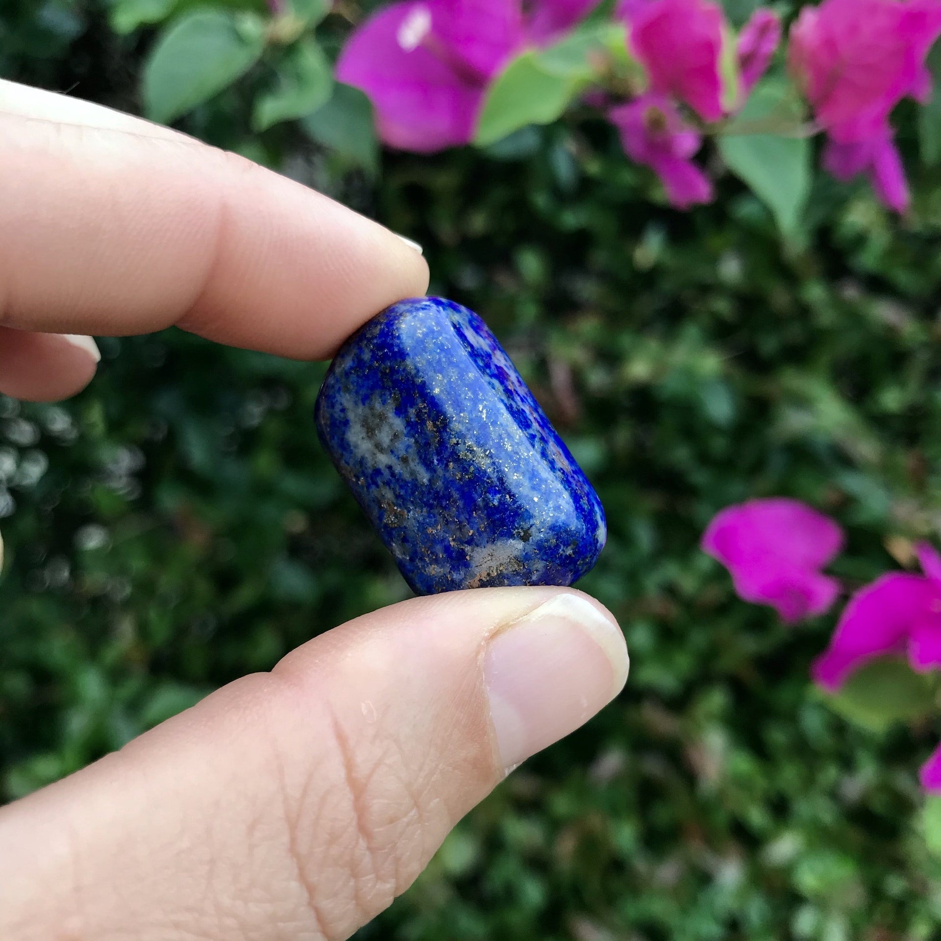 Person holding one small lapis lazuli gemstone pebble