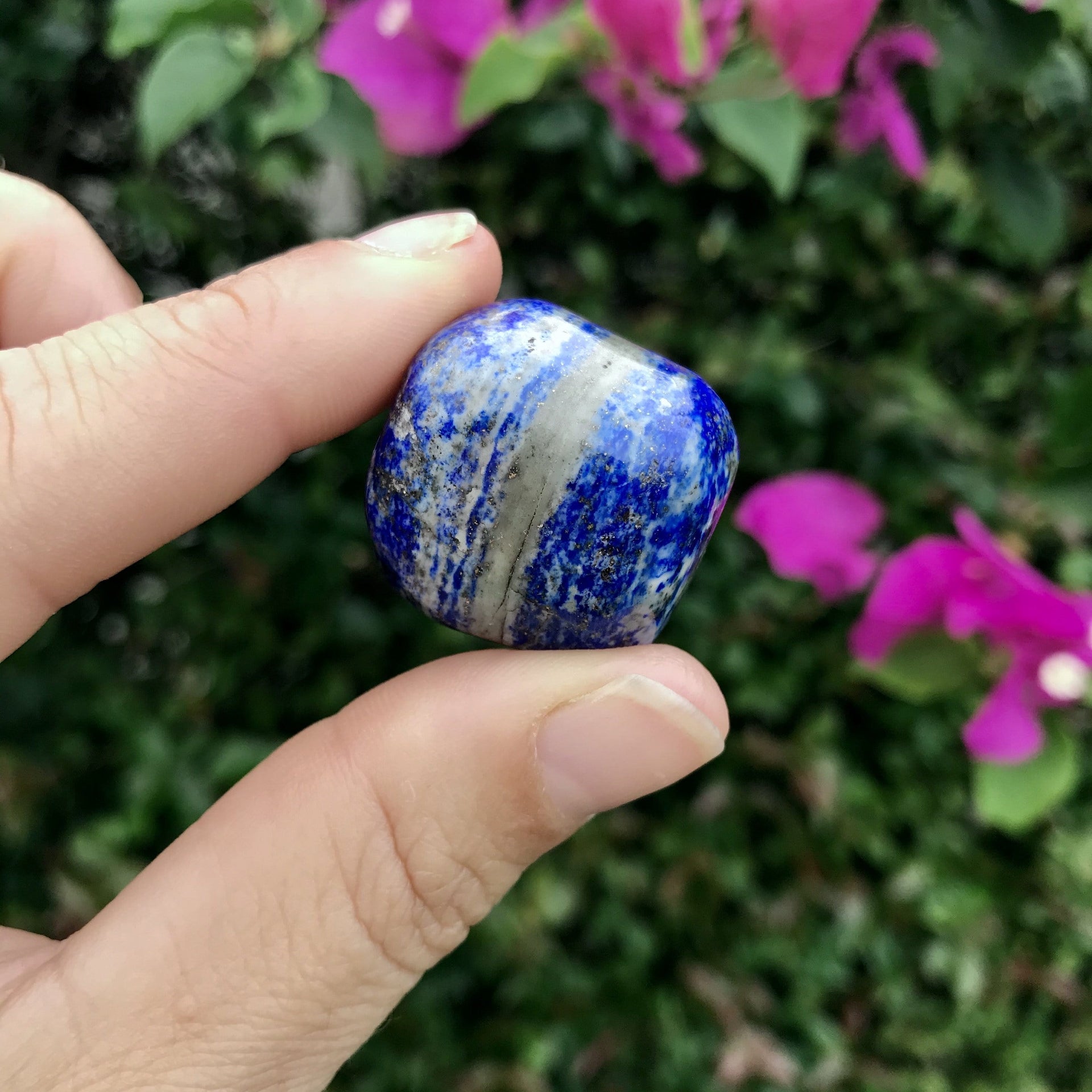 Medium lapis lazuli polished gemstone pebble