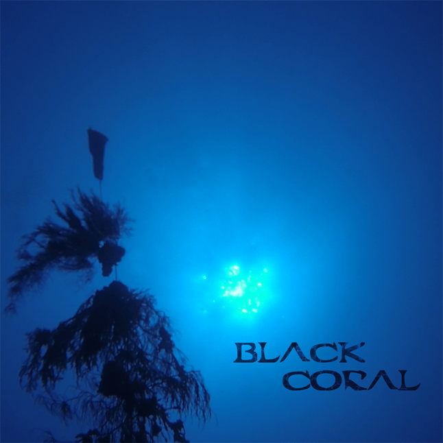 Black Coral Movie DVD